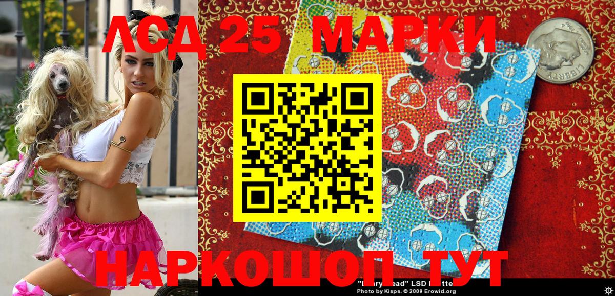 закладки  Вход с VPN  Шали  Марки 25I-NBOMe 1500мкг  Марки 25I-NBOMe 1500мкг  Марки 25I-NBOMe 
